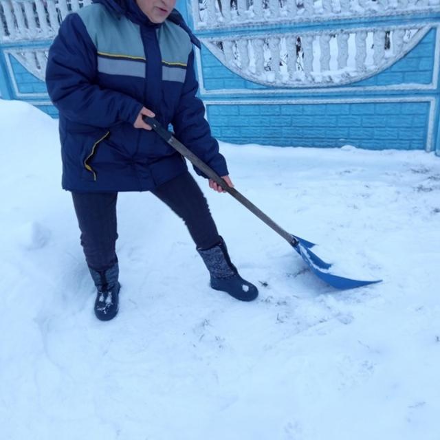 НАШИ БУДНИ