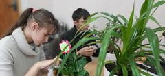 ТРУДОВАЯ МАСТЕРСКАЯ ПО РАСТЕНЕВОДСТВУ И ОЗЕЛЕНЕНИЮ